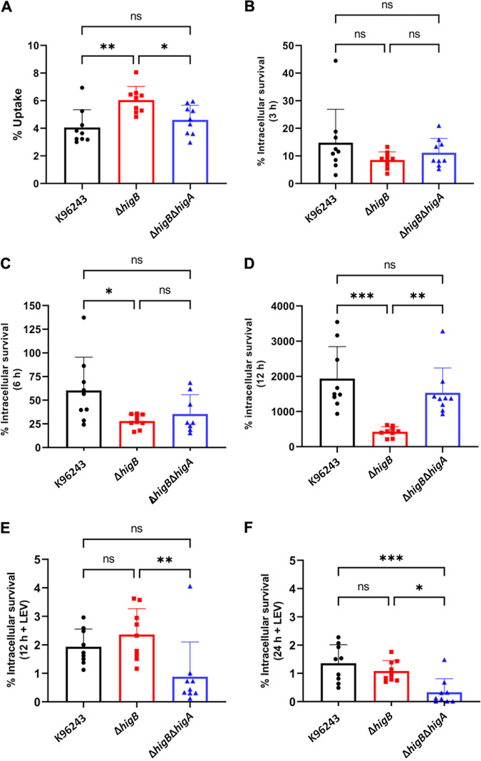 FIG 6