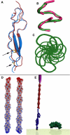 FIGURE 7.