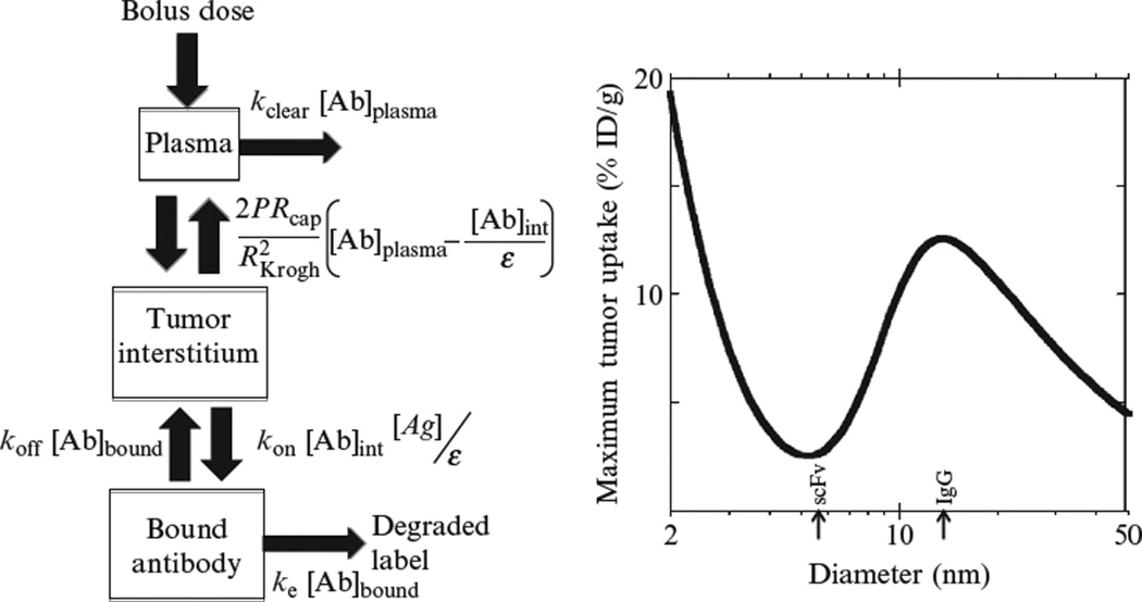 Figure 10.1