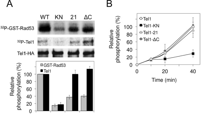 FIGURE 6: