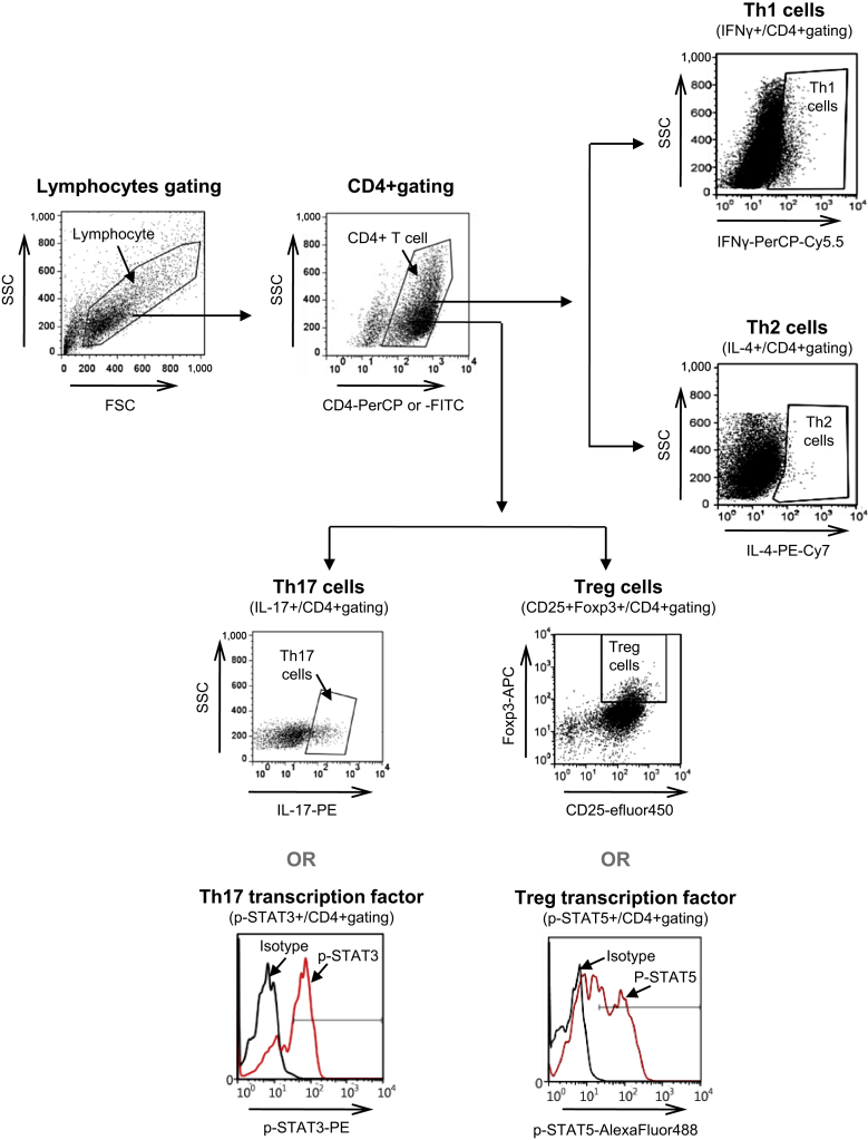 Fig. 2