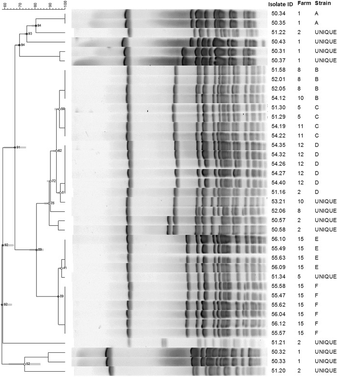 FIG 3