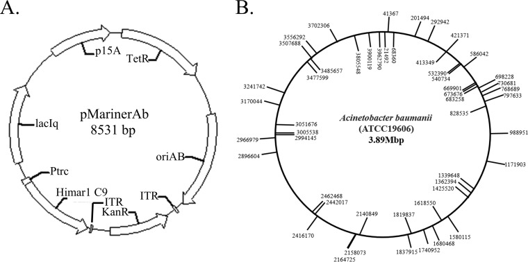 FIG 1