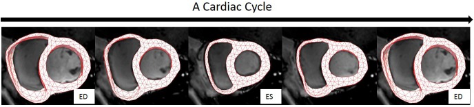 FIGURE 6