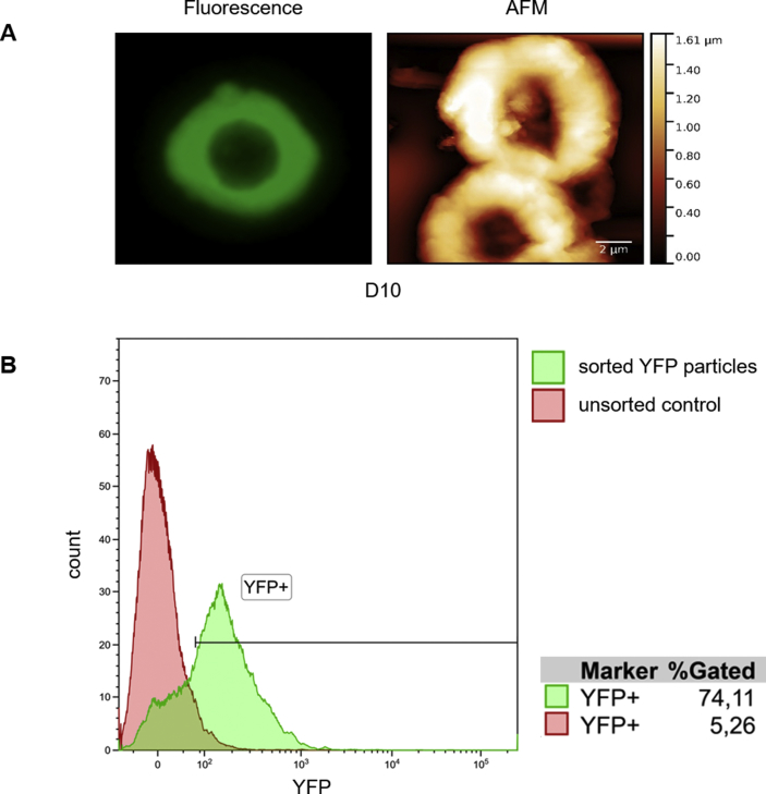 Supplementary Fig. 10