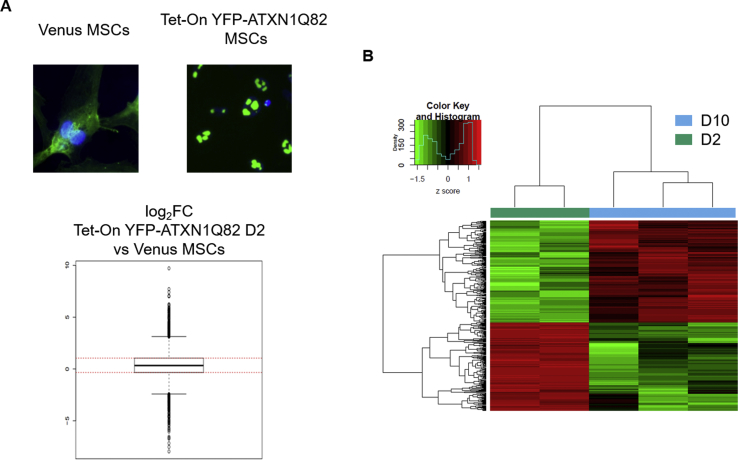 Supplementary Fig. 11