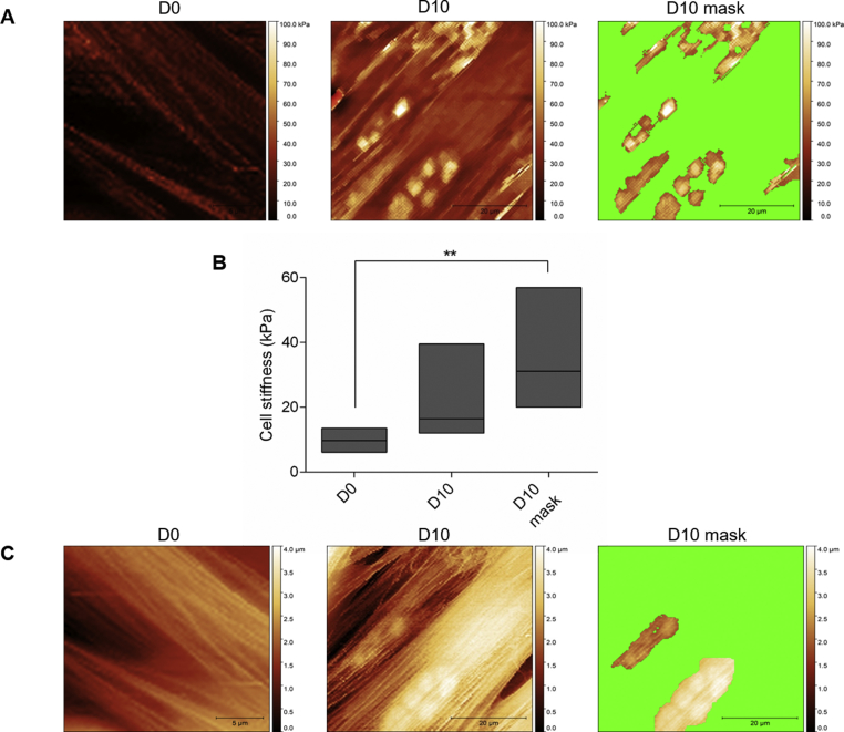 Supplementary Fig. 7