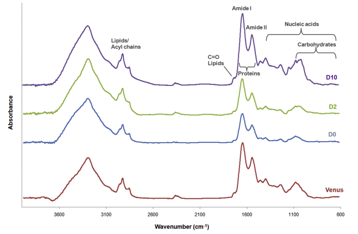 Supplementary Fig. 3