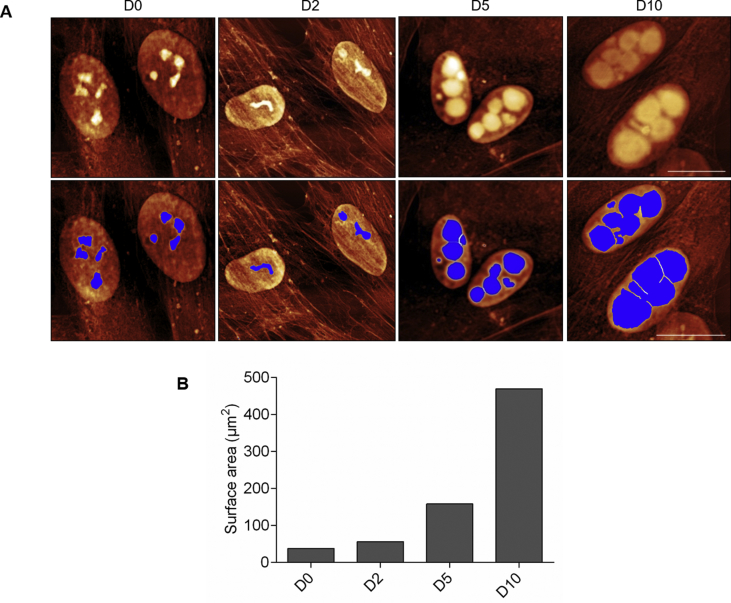 Supplementary Fig. 5