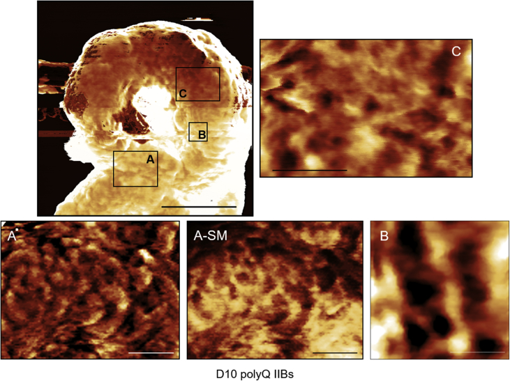 Fig. 4