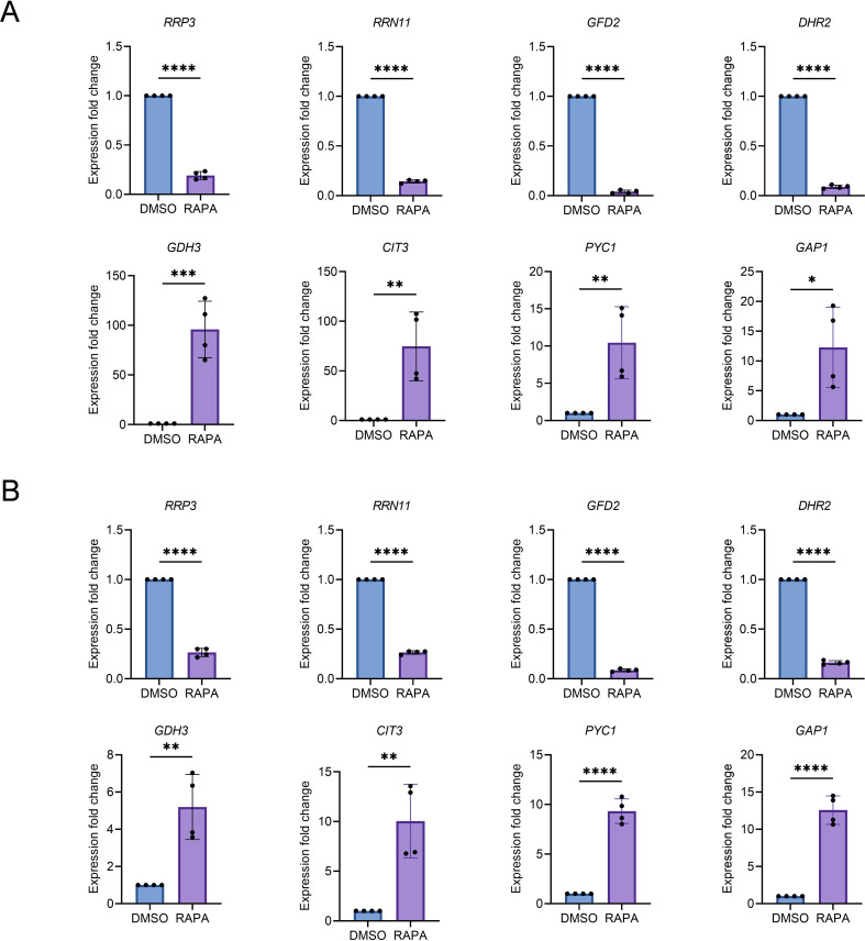 Figure 1—figure supplement 2.