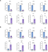 Figure 1—figure supplement 2.