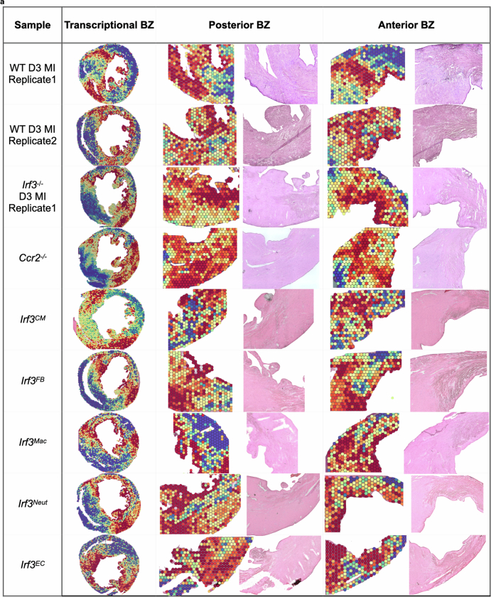 Extended Data Fig. 2