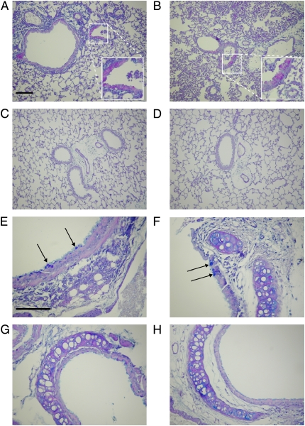 Figure 9.