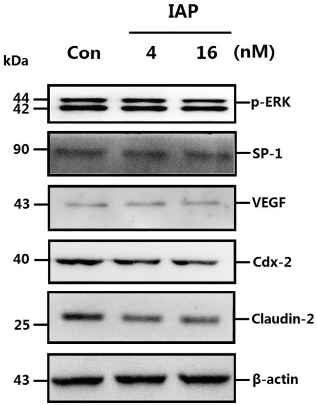 Fig 10