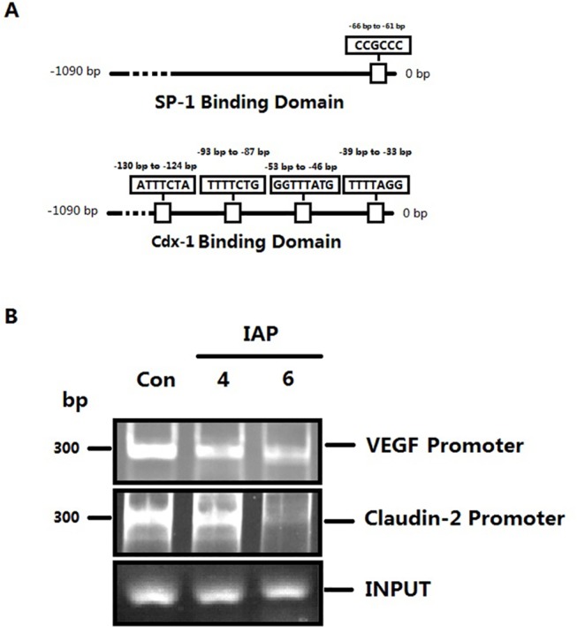 Fig 12