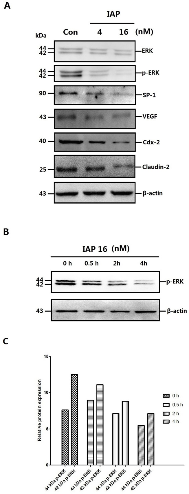 Fig 9