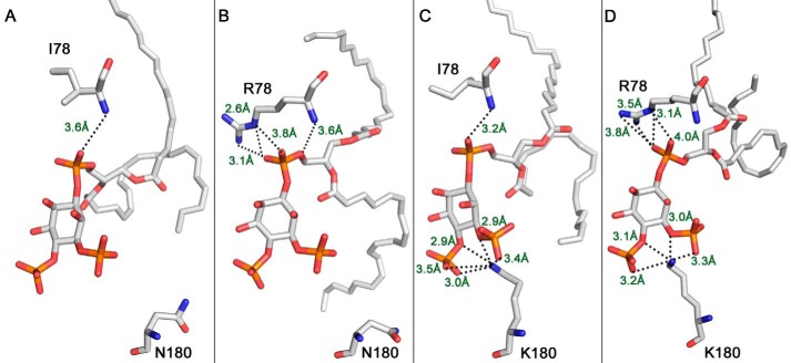 FIGURE 10.