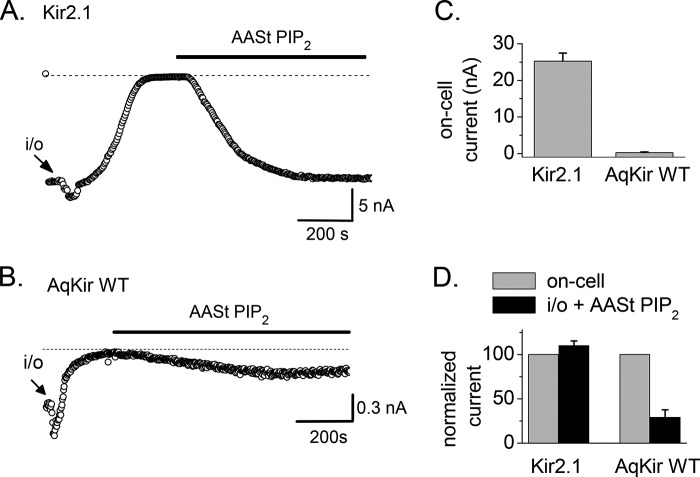 FIGURE 4.