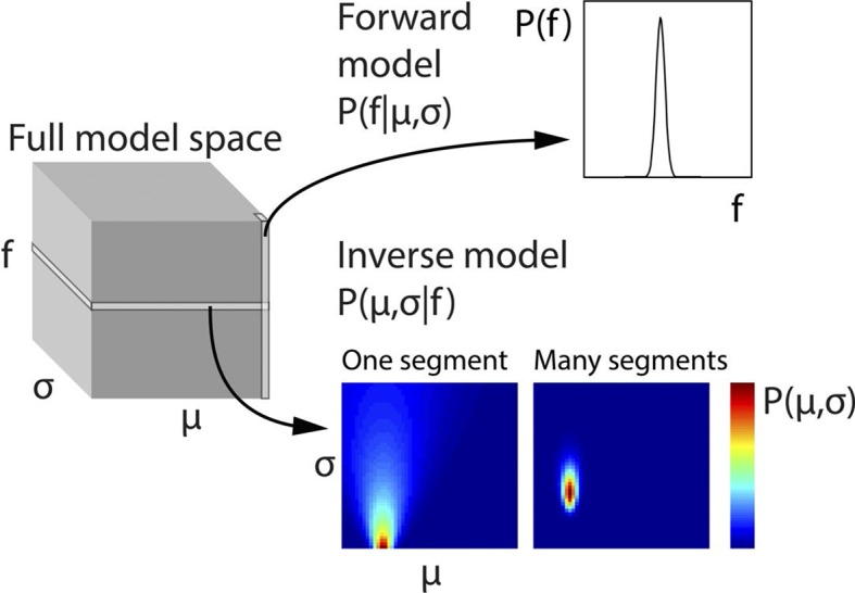 Figure 2—figure supplement 1.