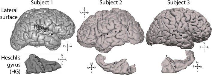 Figure 4—figure supplement 5.