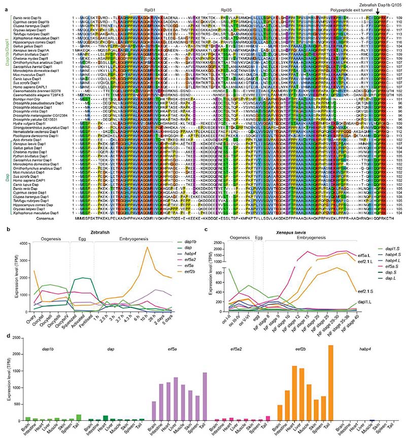 Extended Data Fig. 5