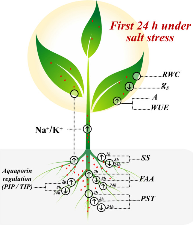 Fig. 4