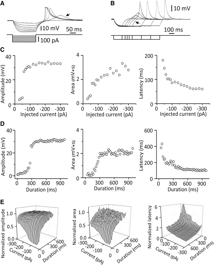 Fig. 3