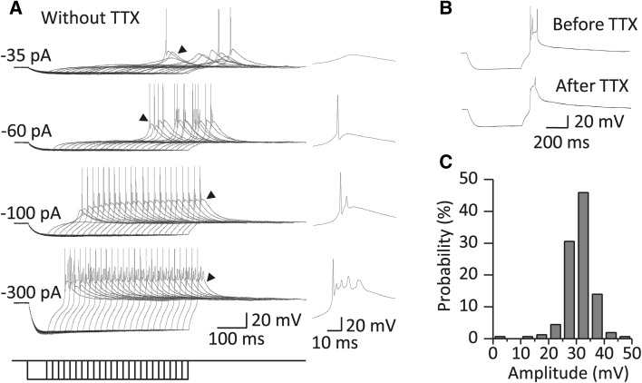 Fig. 2