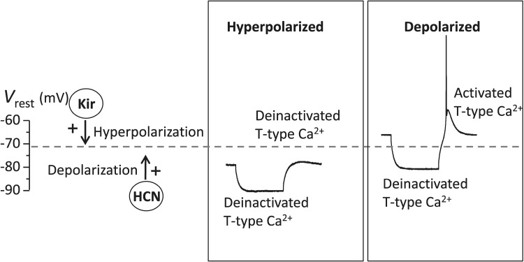 Fig. 8