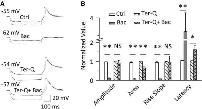 Fig. 7