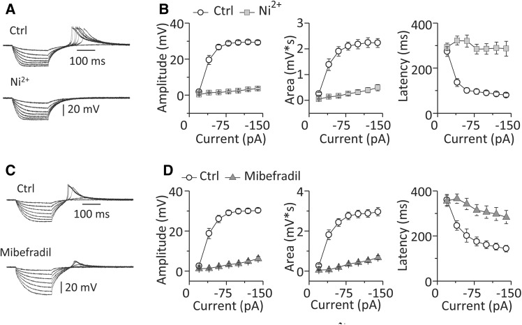 Fig. 4