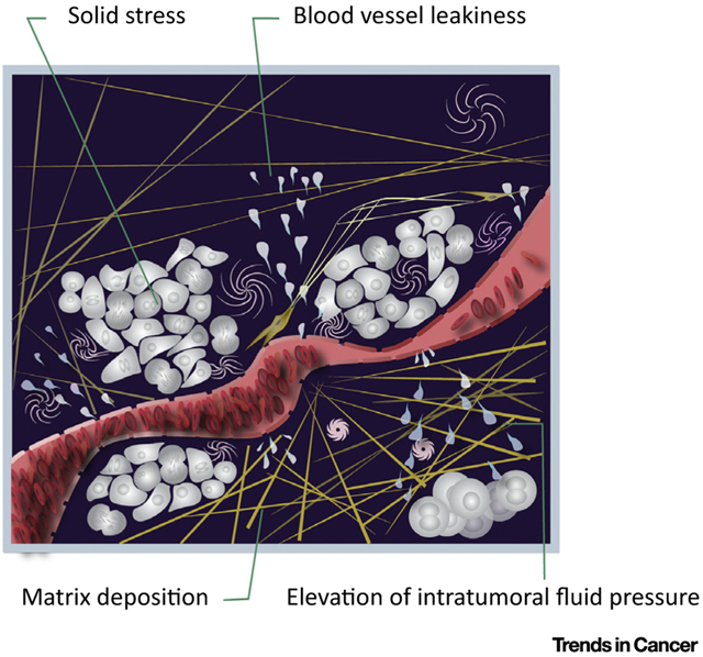 graphic file with name nihms-987491-f0001.jpg