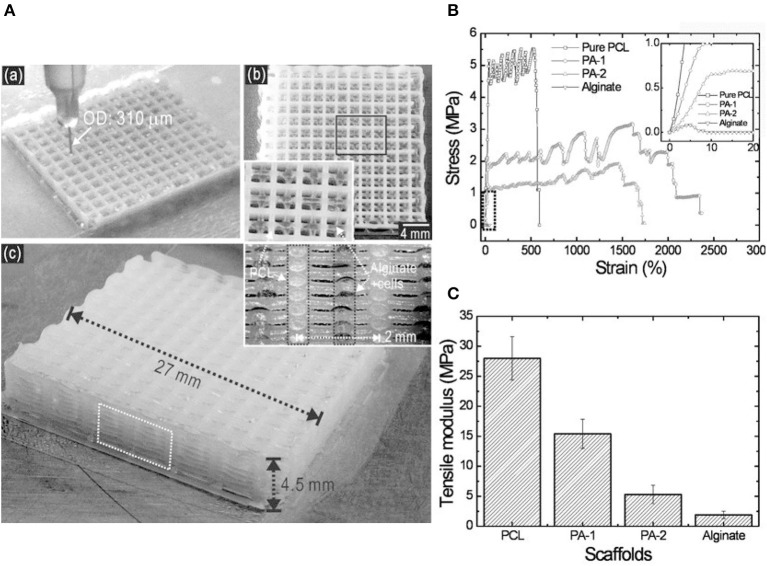 Figure 10