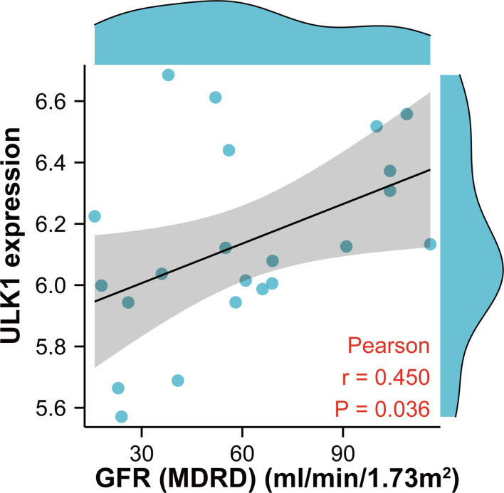 Figure 10