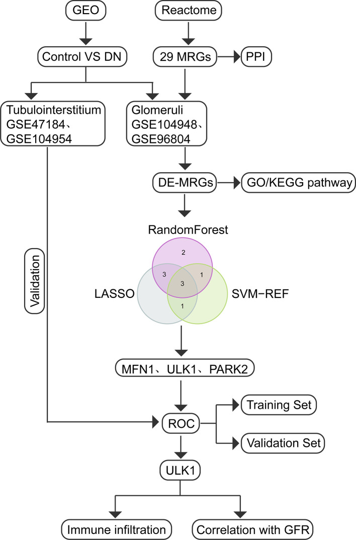 Figure 1