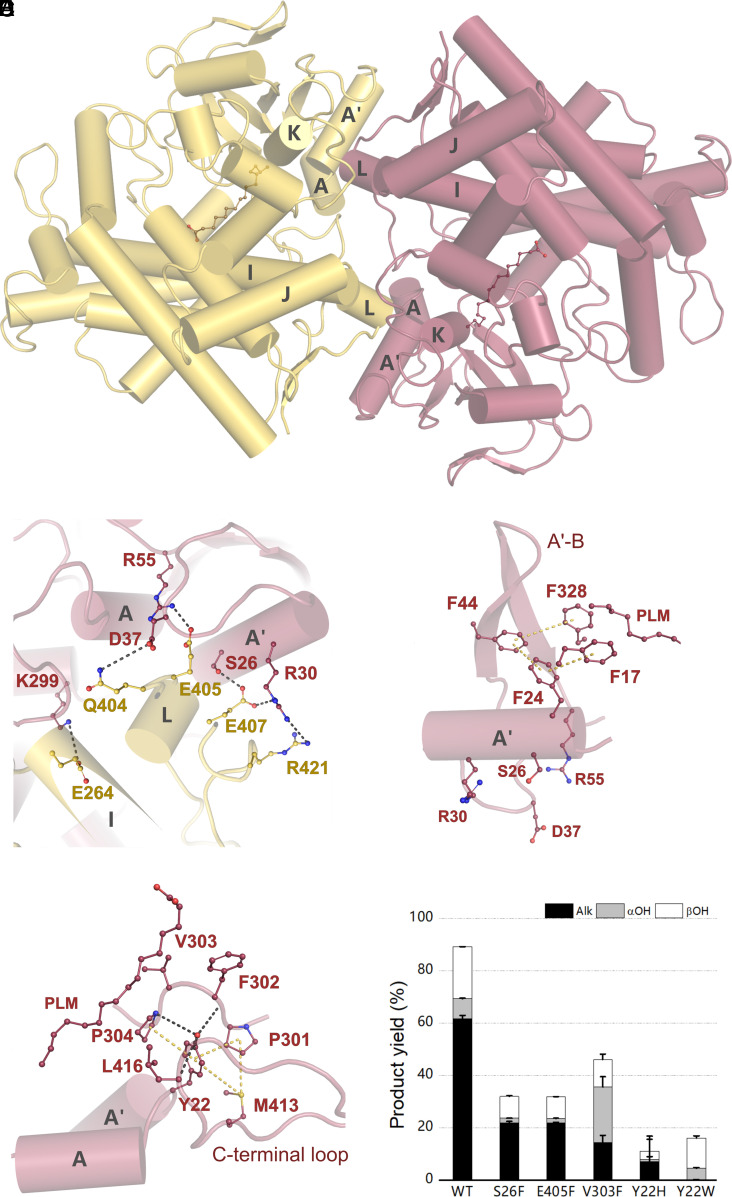 Fig. 5.