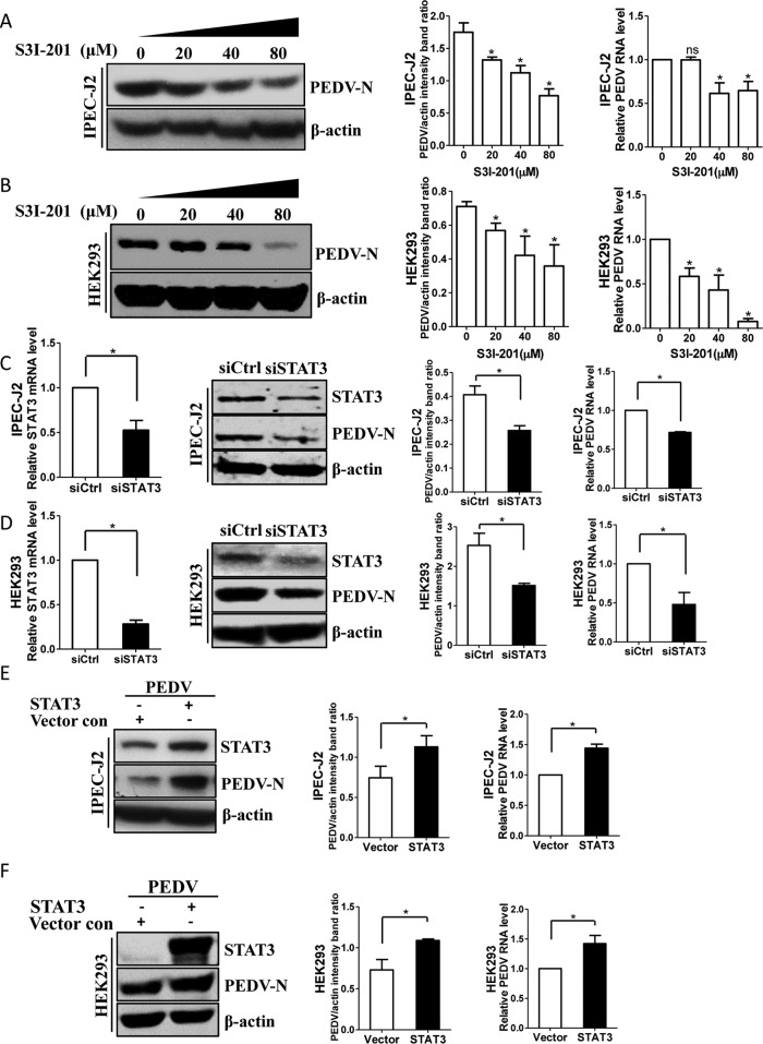 FIG 8