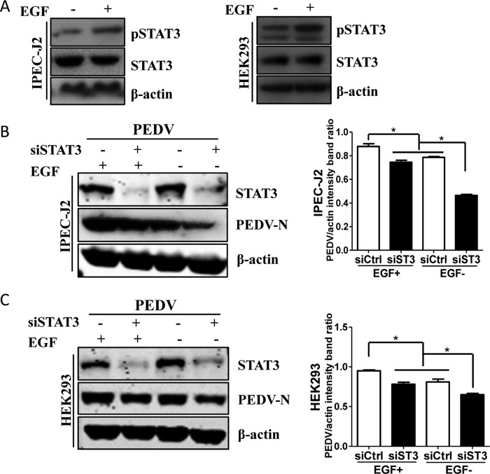 FIG 9