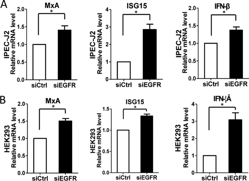 FIG 6