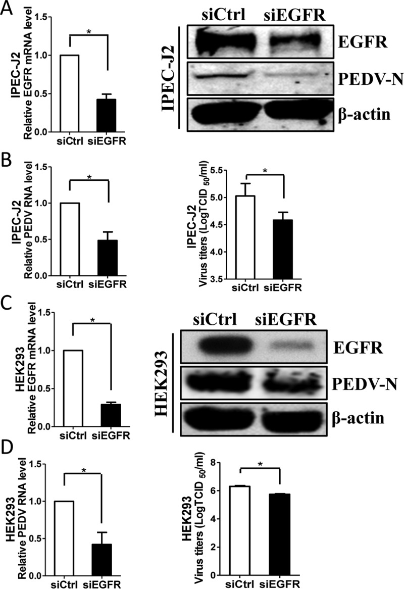 FIG 5