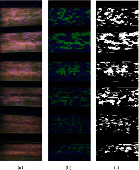 Figure 9