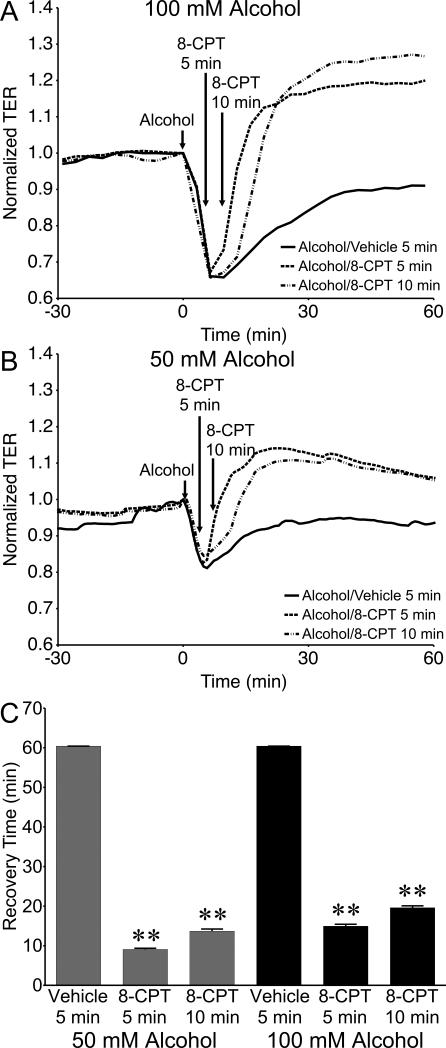 Fig. 11