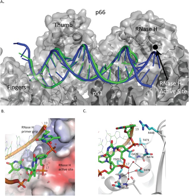 Figure 4