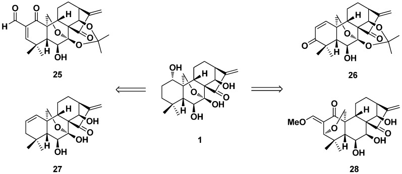 Figure 12