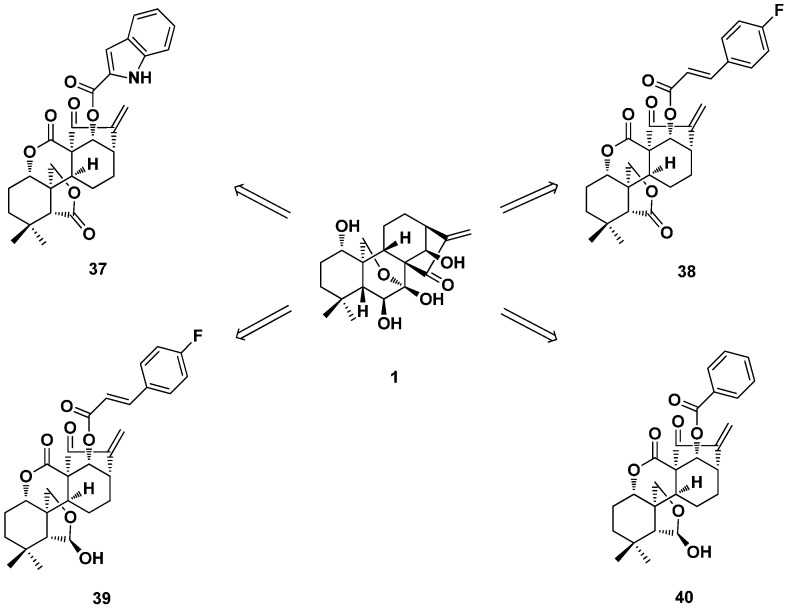 Figure 20