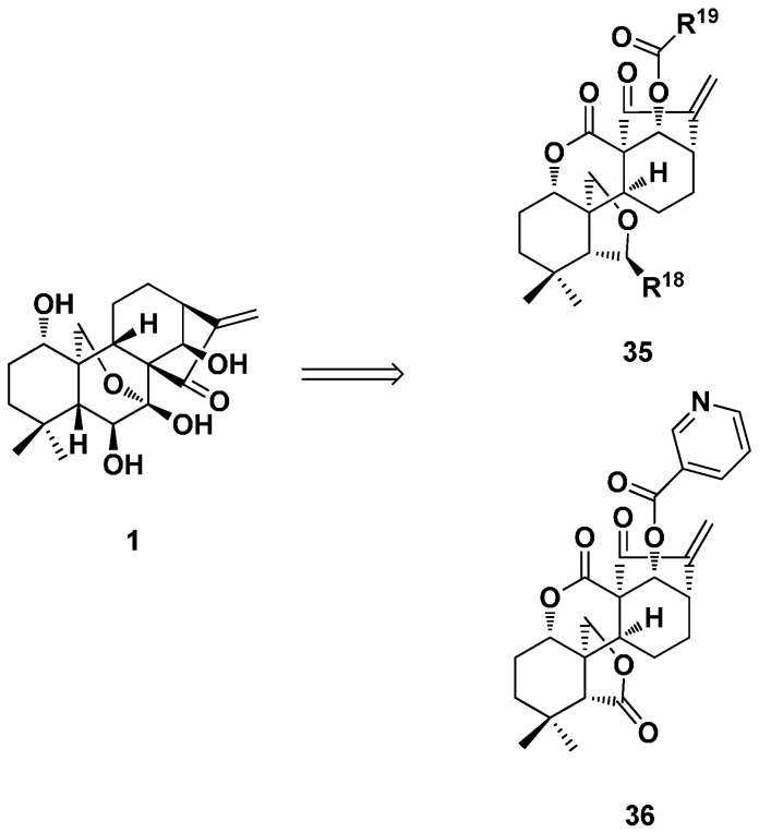 Figure 19