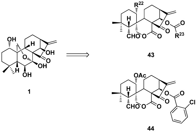 Figure 22