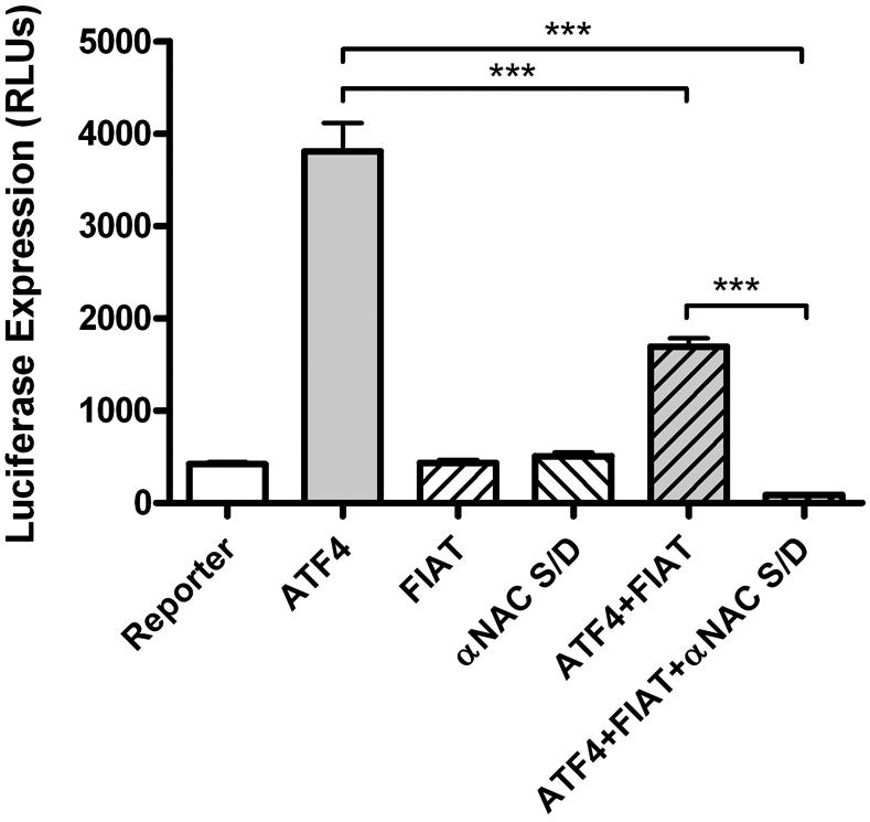 Figure 2: