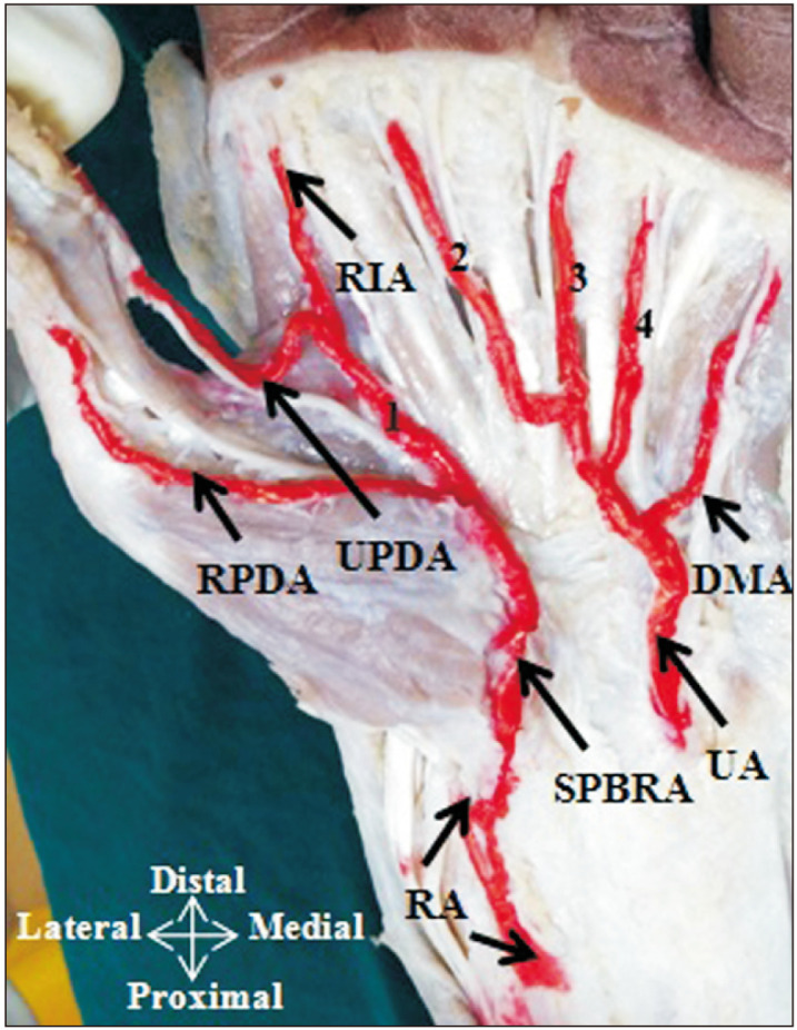 Fig. 5